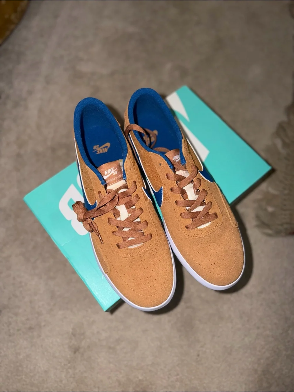 Nike Brown and Blue Low-Top Skate Sneakers